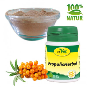 Propolis Herbal