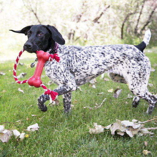 KONG Goodie Bone w Rope