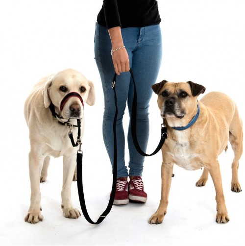Halti ultraľahké vodítko pre psov