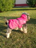 Polly v Hurtta Summit Parka