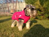 Polly v Hurtta Summit Parka