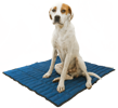 tmavomodrá (pacific blue)