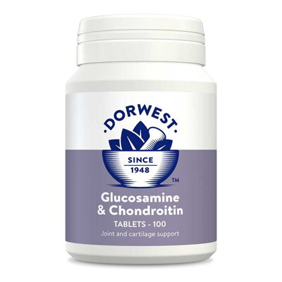 Dorwest Glukosamin a chondroitin pre zdravie kĺbov, 100 tbl.