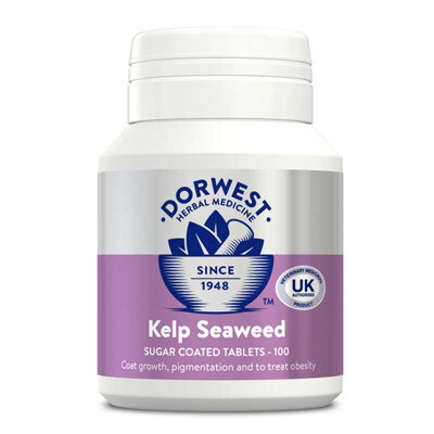 Dorwest morská riasa Kelp pre hustú srsť a dobrú pigmentáciu, 100 tbl.