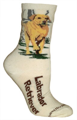 Ponožky labradorský retríver žltý (LABRADOR RETRIEVER), krémové