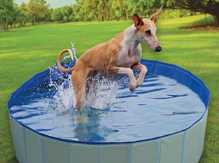 Bazén DUVO+ pre psy, priemer 120 cm