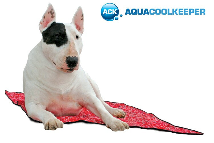 Chladiaca podložka Aqua Coolkeeper L, 80 x 60 cm pre stredné psy