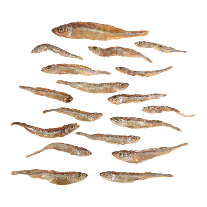 Sušená ryba zubatica obyčajná (koruška celá), 500 g