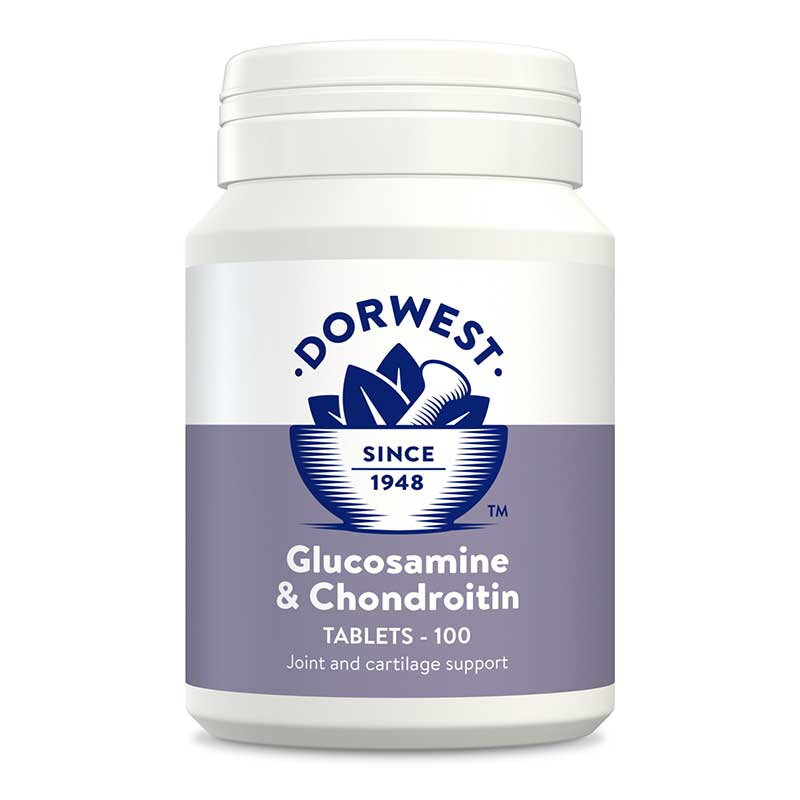 Dorwest Glukosamin a chondroitin pre zdravie kĺbov, 100 tbl.