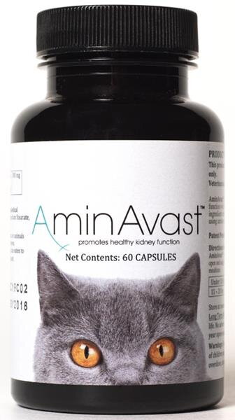 AminAvast na podporu obličiek pre mačky a malé psy, 300 mg 60 cps. 
