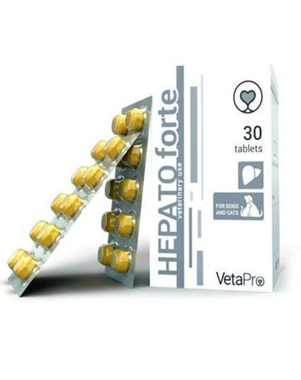 VetaPro Hepatoforte 30 tbl.