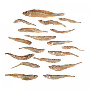 Sušená ryba zubatica obyčajná (koruška celá)