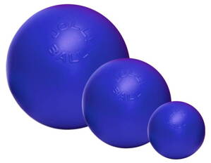 Nadrozmerná lopta Jolly Ball Push-n-Play, 15 cm