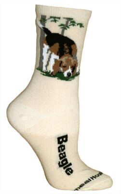Ponožky bígl (BEAGLE), krémové