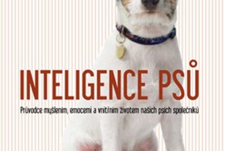 Inteligence psů 