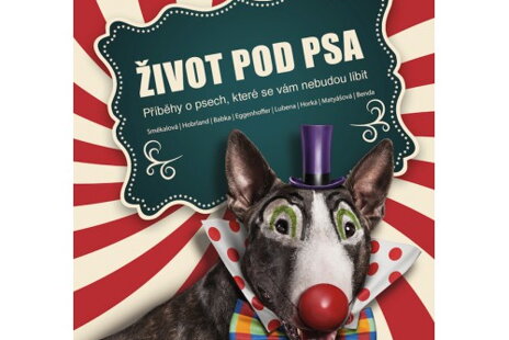 Život pod psa